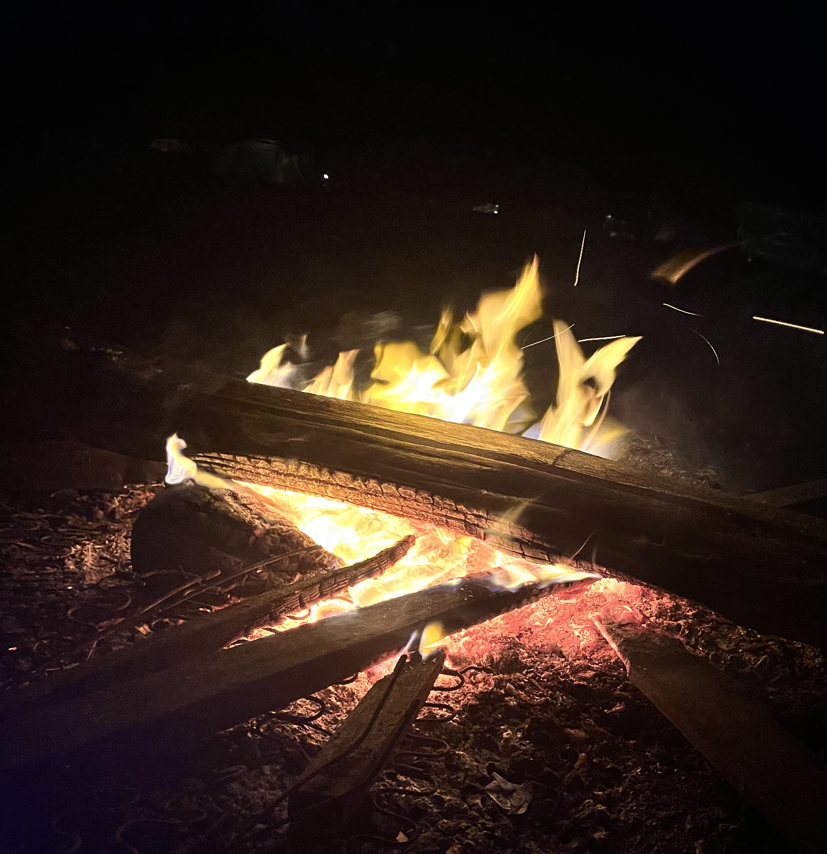 CAMPFIRE